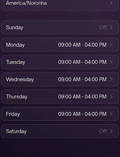 Weekly schedule: Monday to Friday set to 09:00 AM – 04:00 PM, Saturday and Sunday switched off